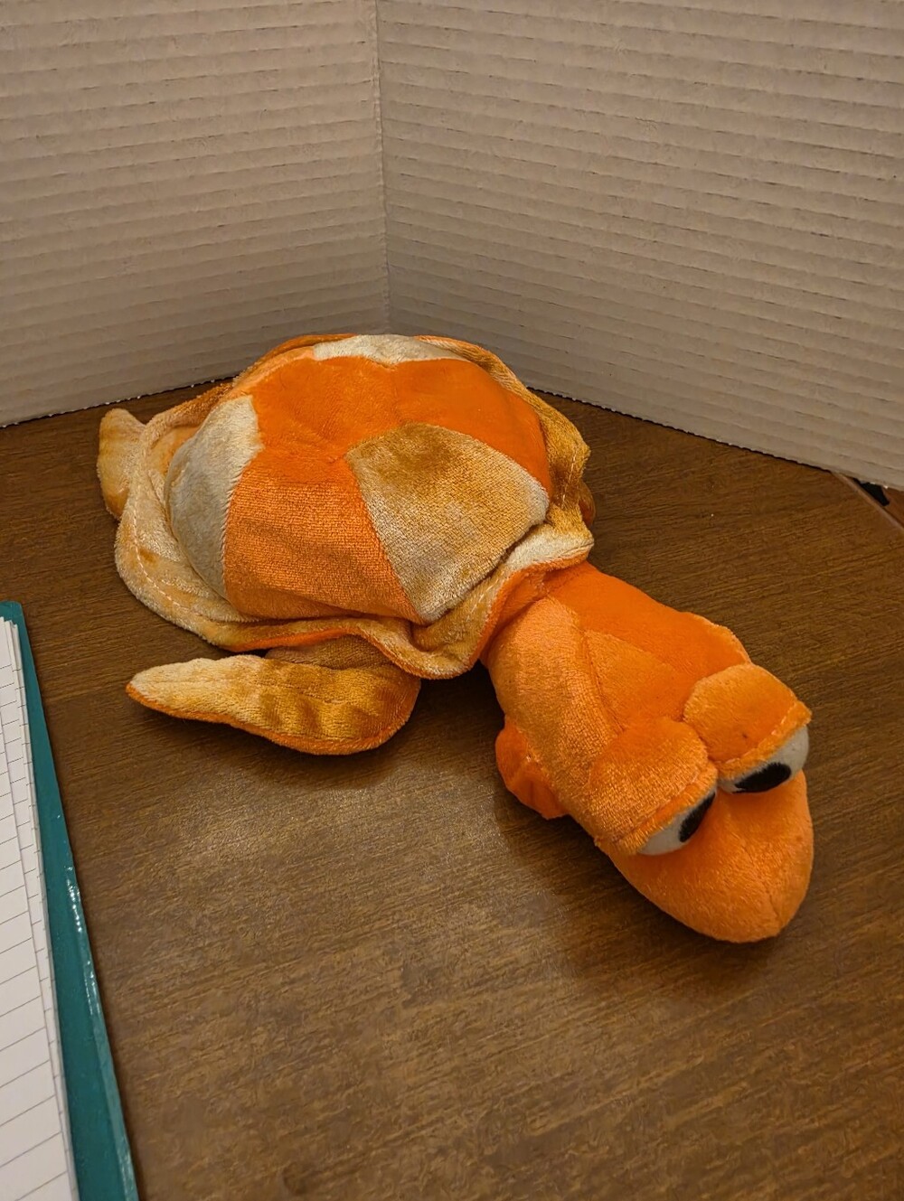 Orange Sea Turtle